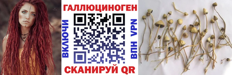 Псилоцибиновые грибы ЛСД  как найти закладки  Видное 